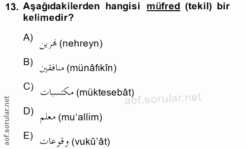 Soru 13