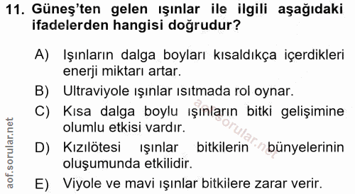 Soru 11