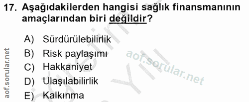 Soru 17