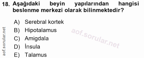 Soru 18