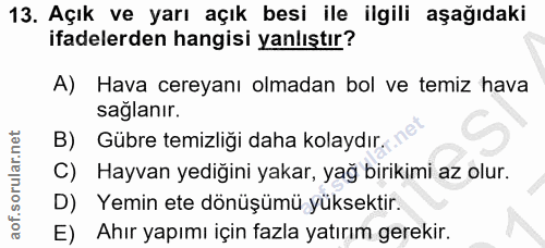 Soru 13