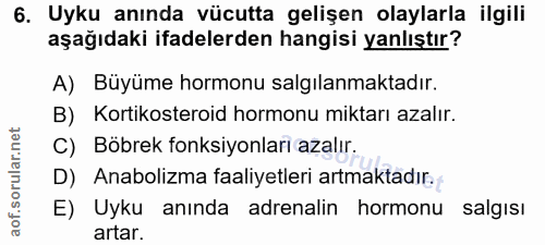 Soru 6