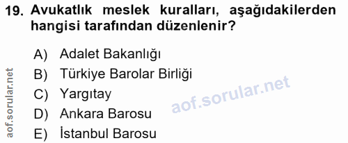 Soru 19