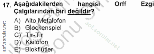 Soru 17