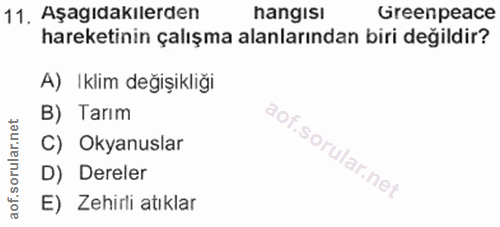 Soru 11
