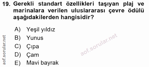 Soru 19