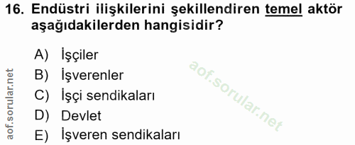 Soru 16