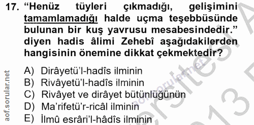 Soru 17