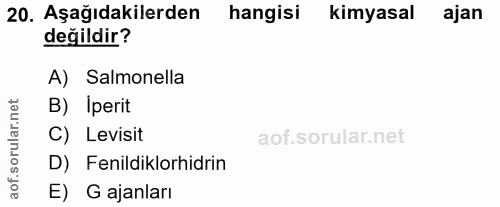 Soru 20