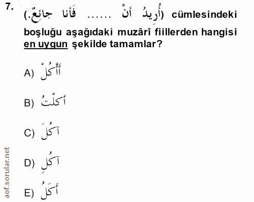 Soru 7