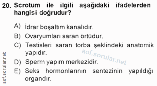 Soru 20