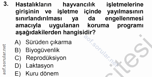 Soru 3