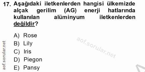 Soru 17