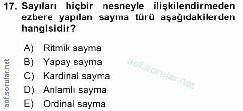 Soru 17
