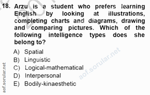 Soru 18