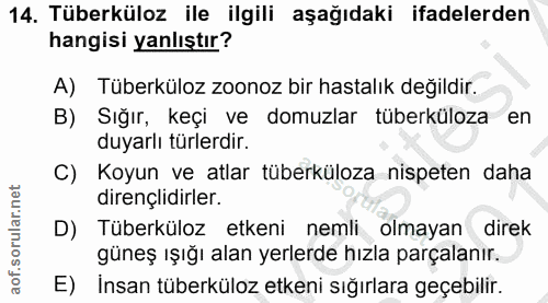 Soru 14