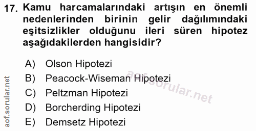 Soru 17
