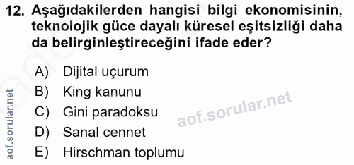 Soru 12