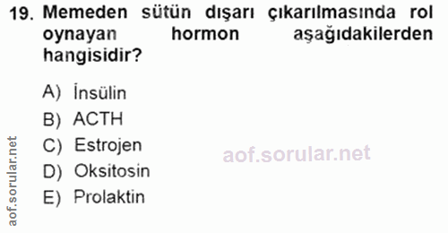 Soru 19