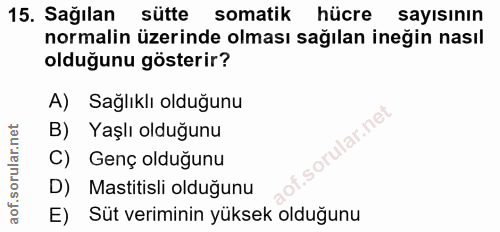 Soru 15