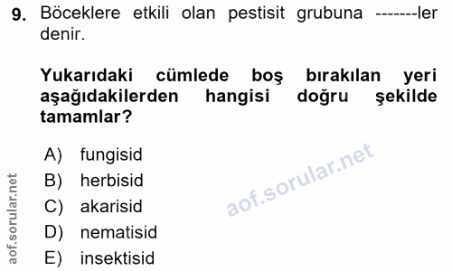 Soru 9