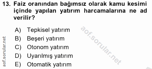 Soru 13