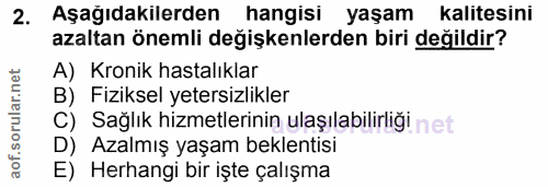 Soru 2