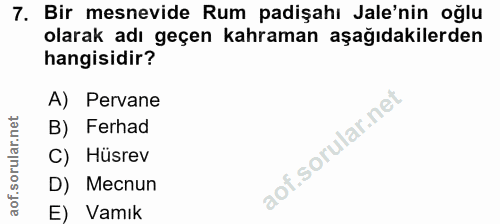 Soru 7
