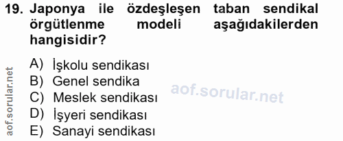 Soru 19