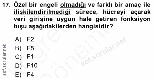 Soru 17