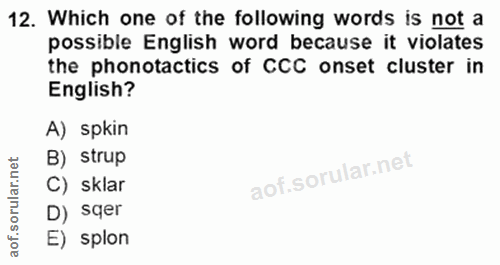 Soru 12