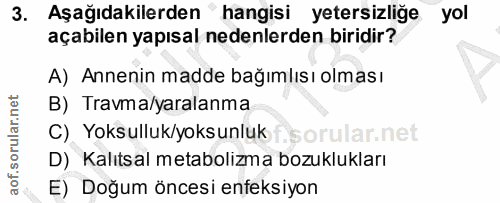 Soru 3