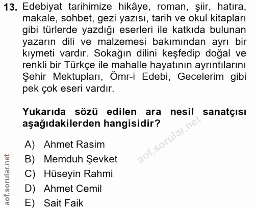 Soru 13