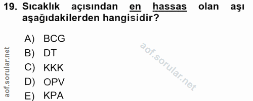 Soru 19