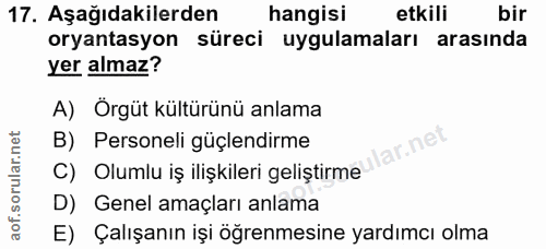Soru 17