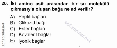 Soru 20