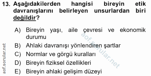 Soru 13