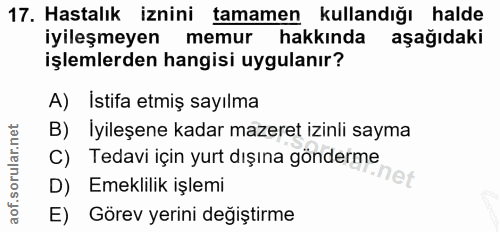 Soru 17