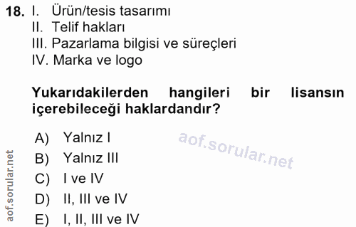 Soru 18