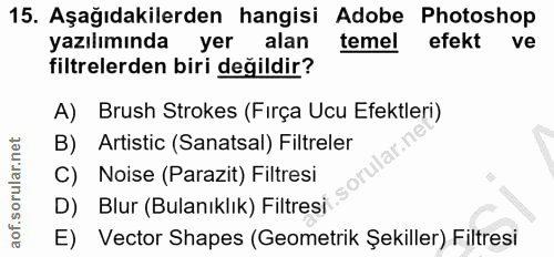 Soru 15