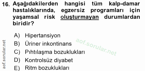 Soru 16