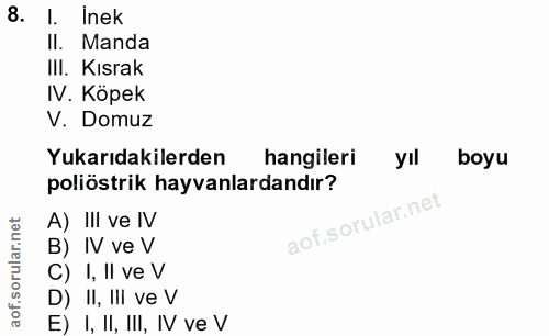 Soru 8