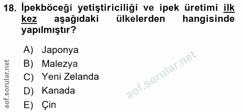 Soru 18