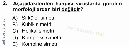 Soru 2