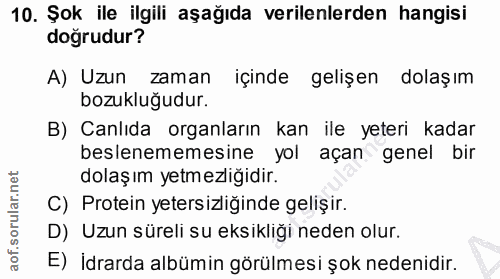 Soru 10
