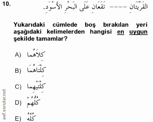 Soru 10