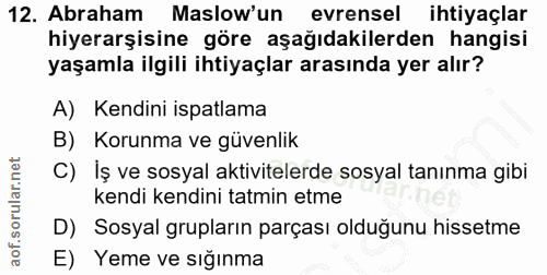 Soru 12