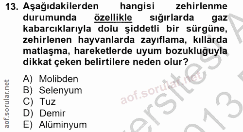 Soru 13