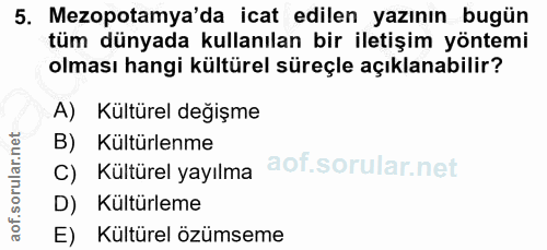 Soru 5