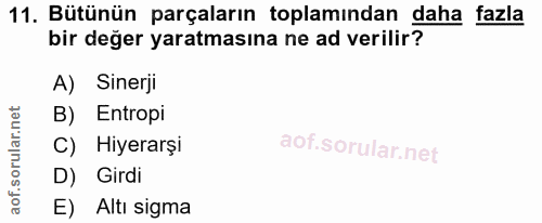 Soru 11